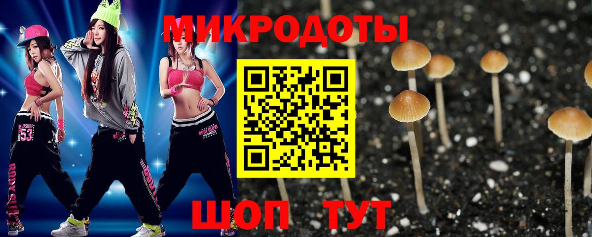 Псилоцибиновые грибы Psilocybine cubensis Пенза