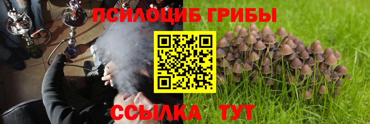 Псилоцибиновые грибы Psilocybine cubensis  Вход с VPN  Псилоцибиновые грибы Cubensis  Пенза 